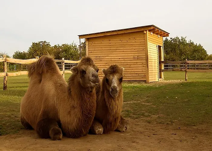 Panzió Napsugár 3*